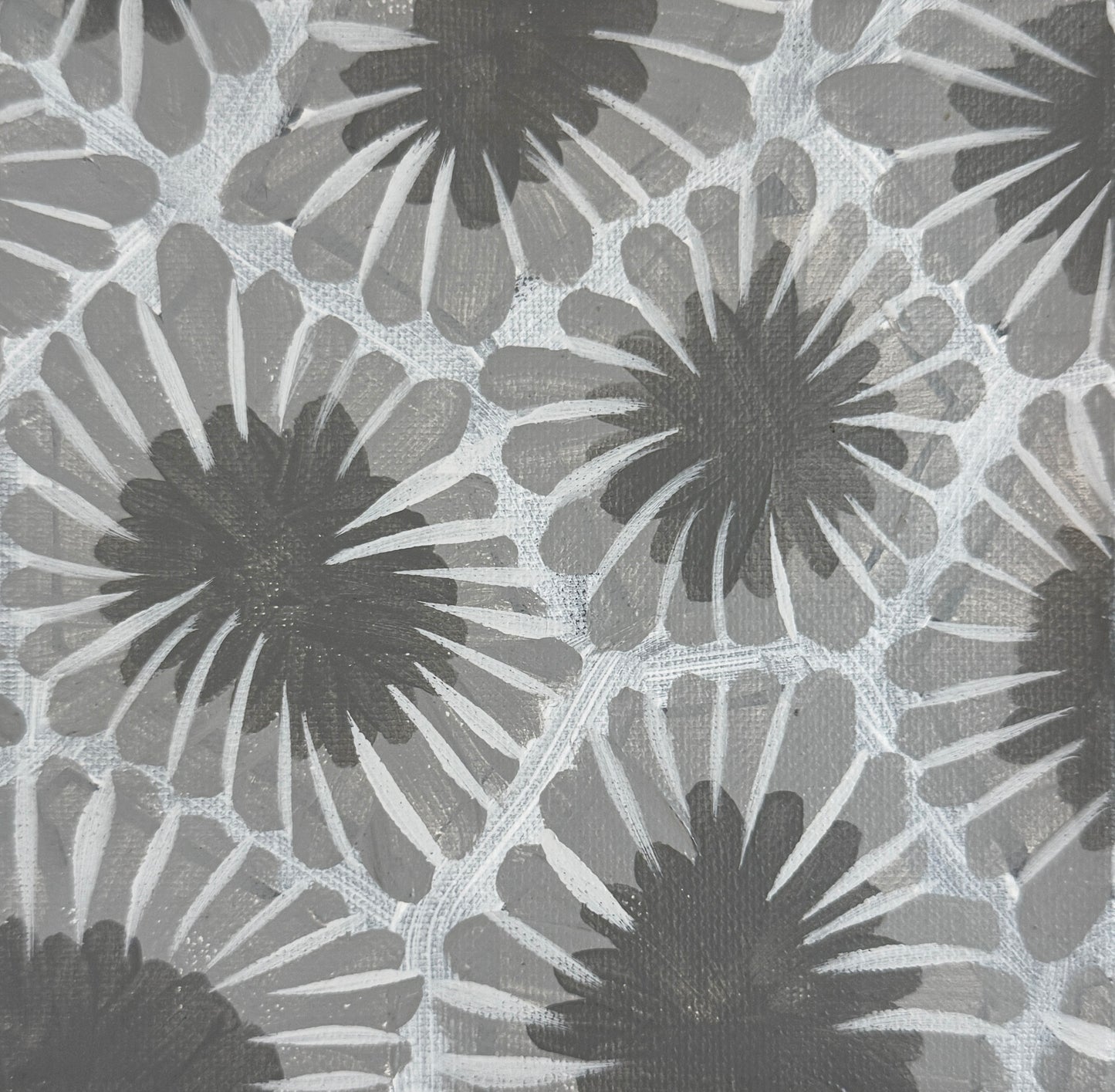 Dry Petoskey Stone (6x6)